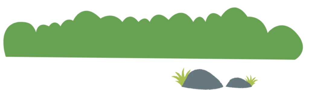 שלי ליווי להורים לילדים אוטיסטים